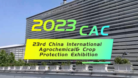 CACE2023 live show.jpg