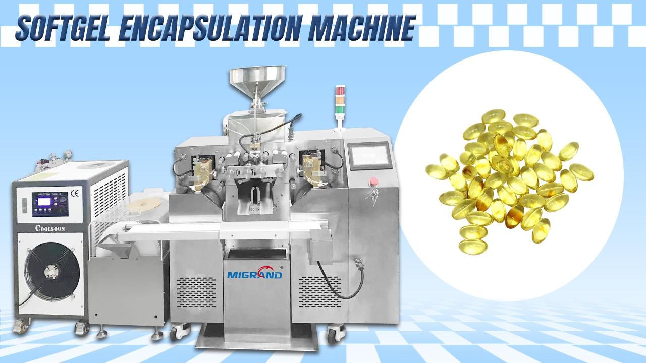 Экспорт в производственную линию капсулы в марокко с 4 сетами плесень